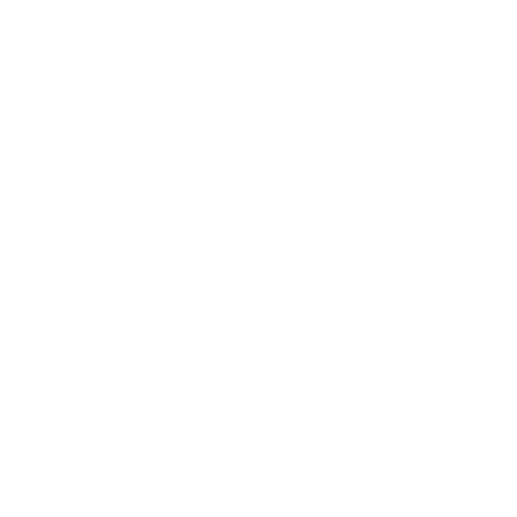 Icon BM