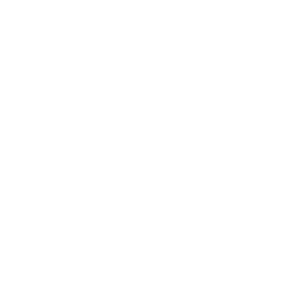 Icon BM